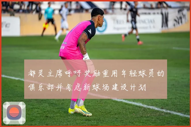 都灵主席呼吁奖励重用年轻球员的俱乐部并考虑新球场建设计划
