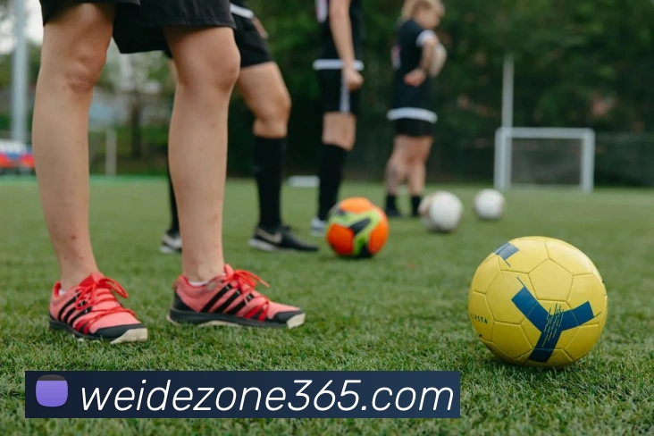 伟德国际品牌故事