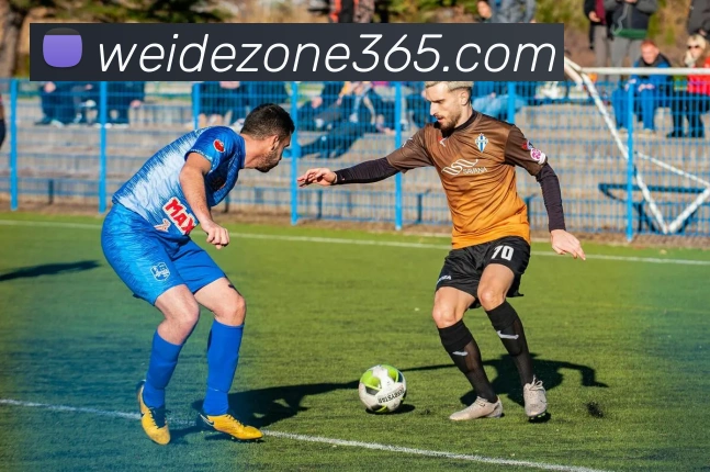 伟德国际APP 体育赛事宣传图