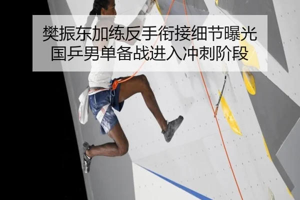 樊振东加练反手衔接细节曝光 国乒男单备战进入冲刺阶段 | weidetiyu